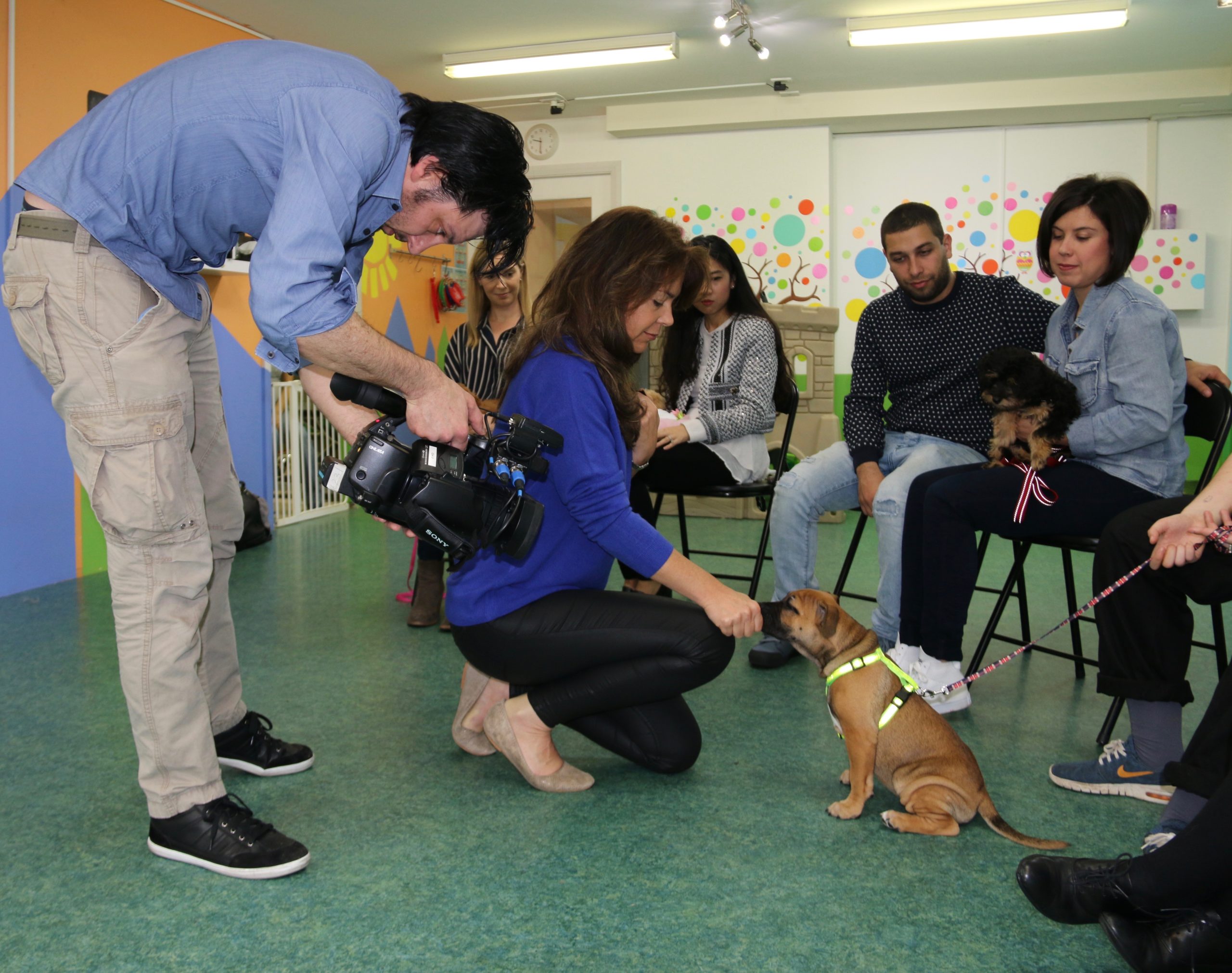 Liarne filmed during puppy school training