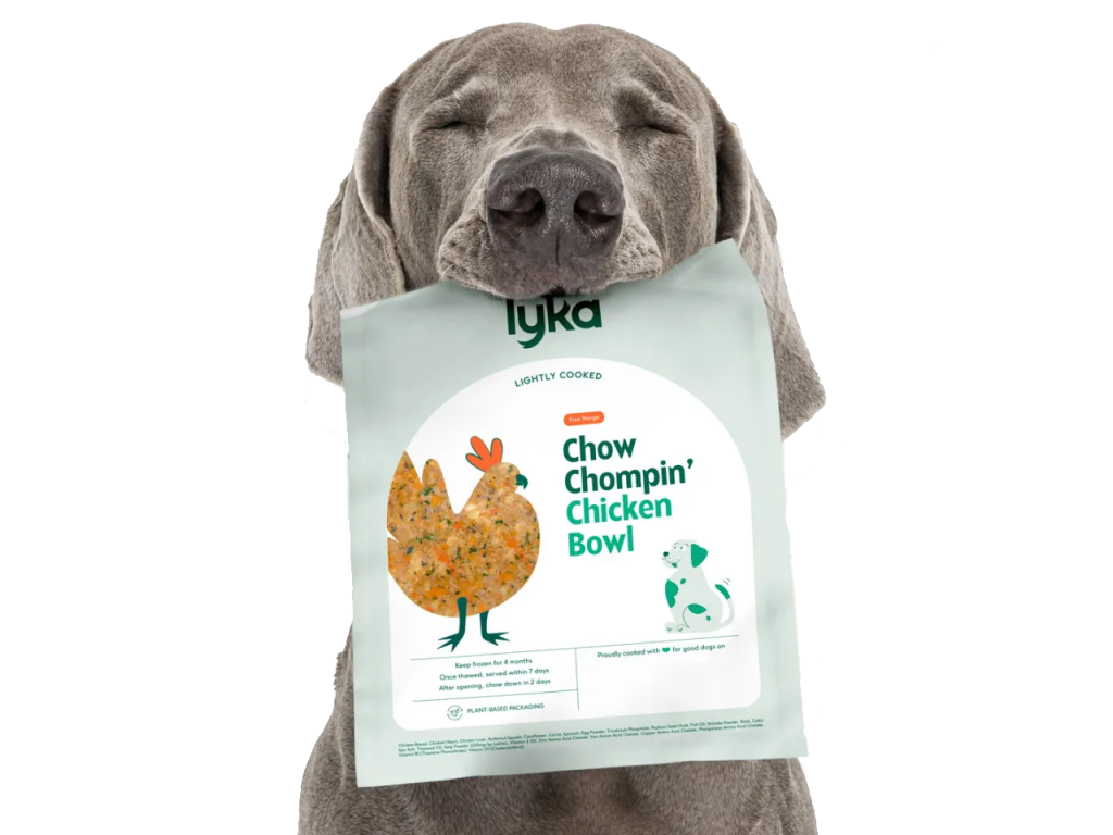 Dog holding Lyka dog food packet in mouth