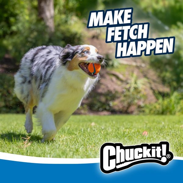 Chuckit! Ultra Ball Dog Toy - Image 4