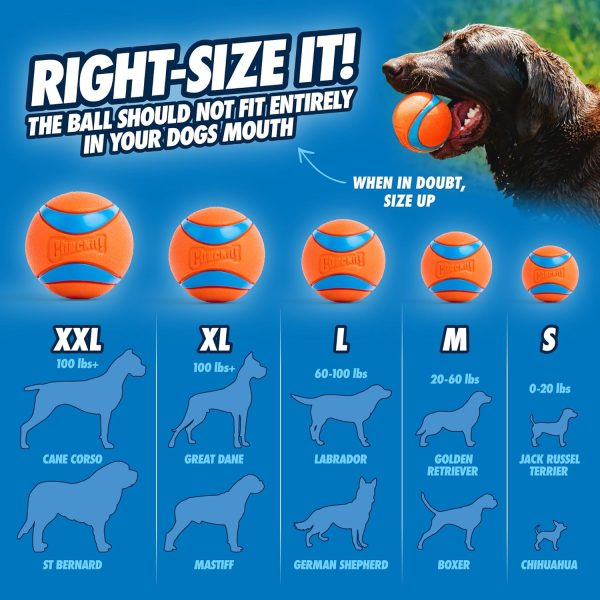 Chuckit! Ultra Ball Dog Toy - Image 5