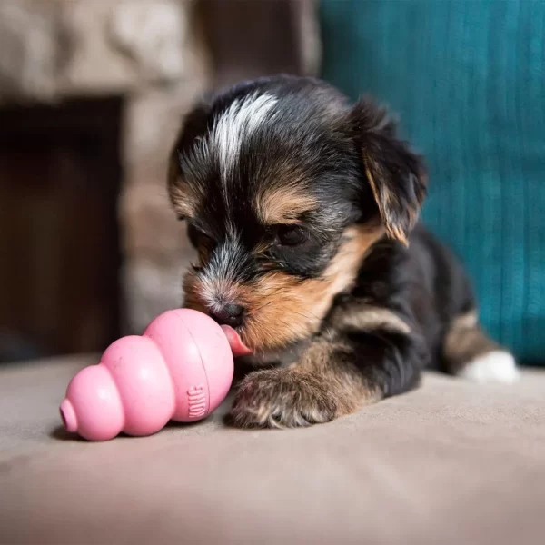 kong toy tiny puppy