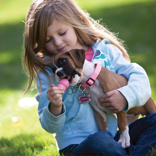 puppy little girl pink kong toy